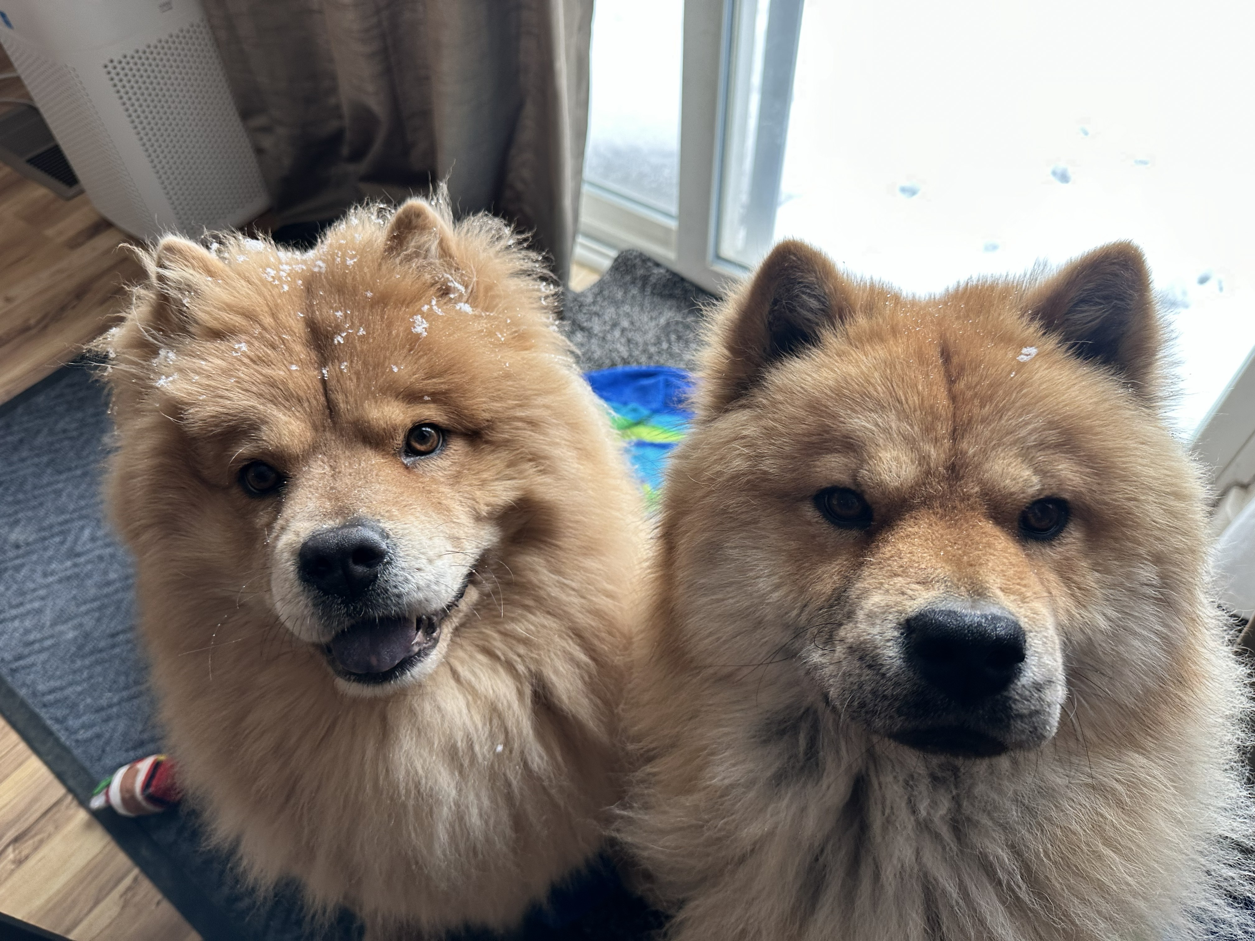 Molded bread