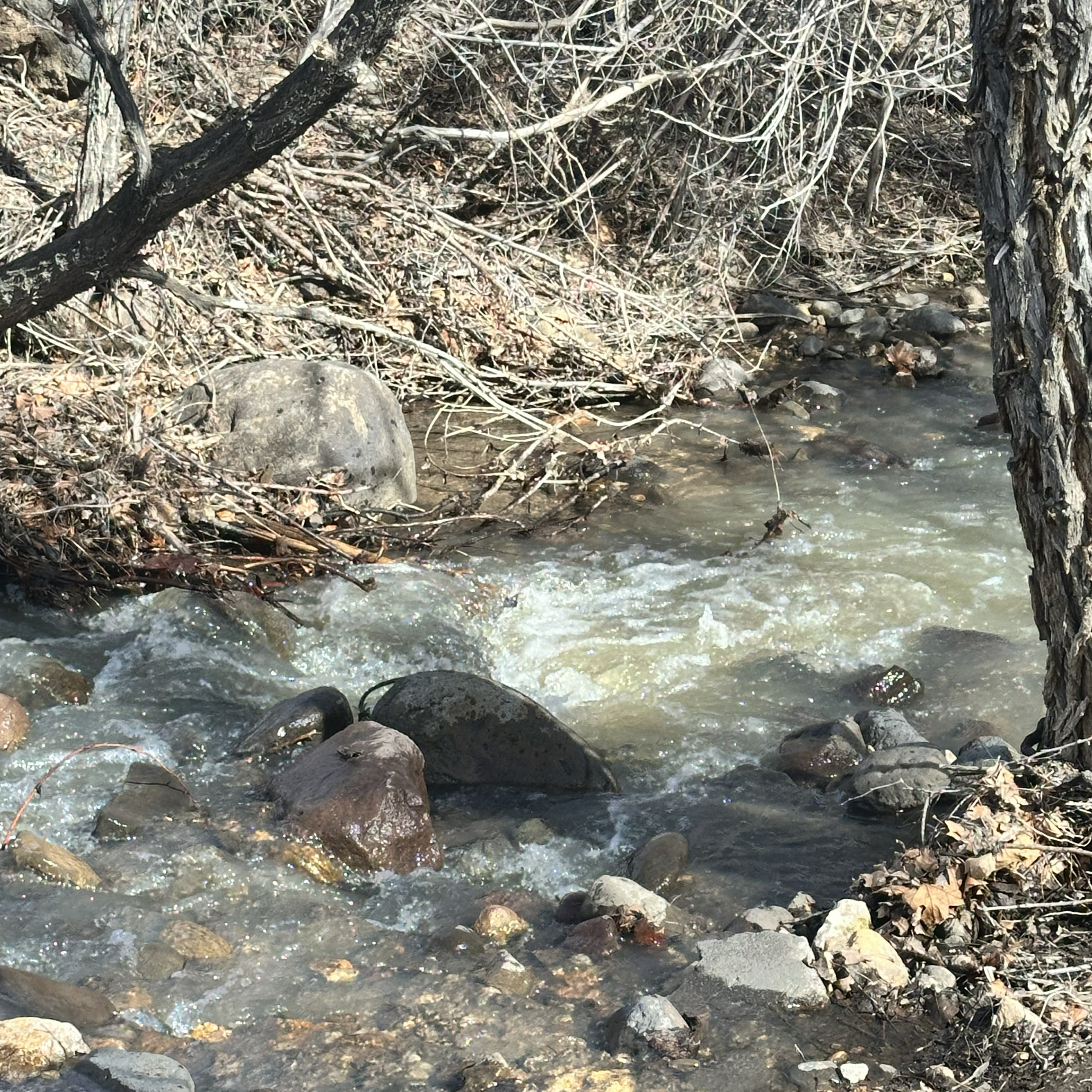 Running stream water